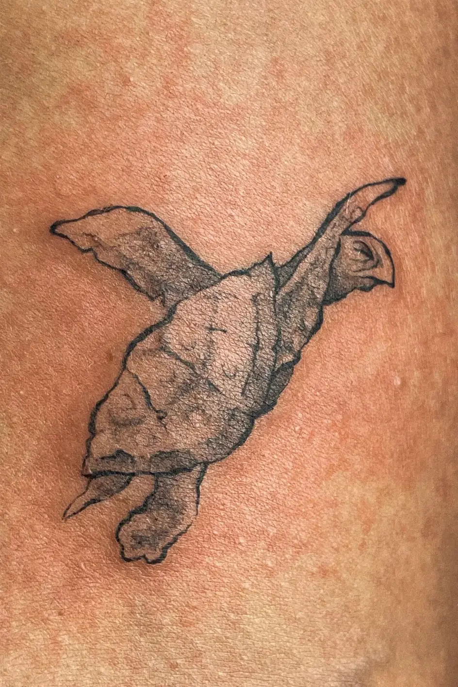 Tatuaje de una tortuga marina en puntillismo en el hombro
