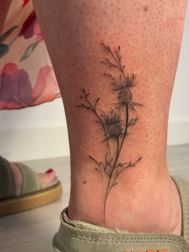 Tatuaje botánico de un cardo que sube por la pierna